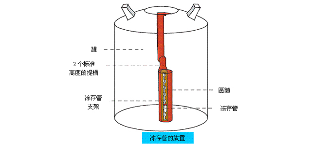 Һ޽Y(ji)(gu)